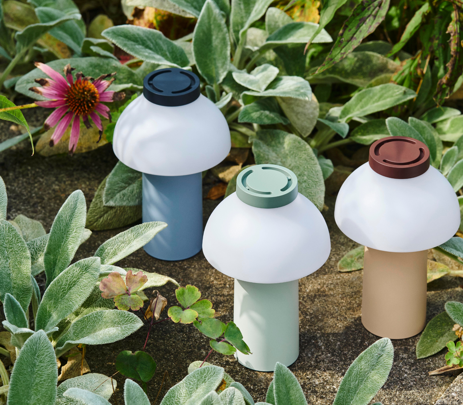 PC Portable de diseño en varios colores colocada en un entorno exterior con plantas